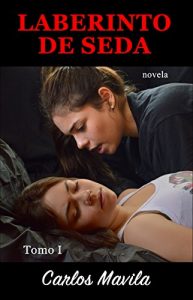 Descargar Laberinto de seda: Tomo I pdf, epub, ebook