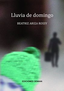 Descargar Lluvia de domingo: Novela existencial sobre el encuentro con uno mismo y el sentido de la vida pdf, epub, ebook