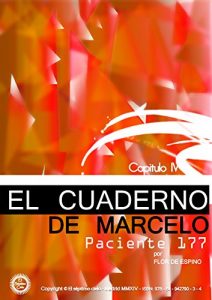Descargar EL CUADERNO DE MARCELO -capítulo IV- PACIENTE 177 pdf, epub, ebook