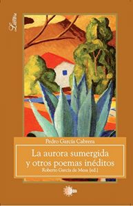Descargar La Aurora Sumergida Y Otros Poemas Ineditos (Critica literaria) pdf, epub, ebook