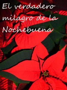 Descargar El verdadero milagro de la Nochebuena pdf, epub, ebook