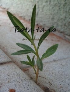 Descargar Rata-a-Tata (Canto-a-Cuento nº 1) pdf, epub, ebook