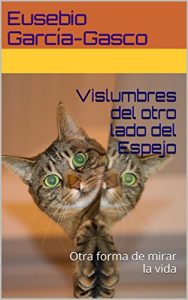 Descargar Vislumbres del otro lado del Espejo: Otra forma de mirar la vida pdf, epub, ebook