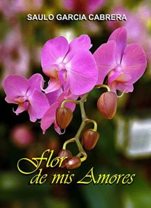 Descargar Flor de mis Amores (Tonterías de Amor nº 15) pdf, epub, ebook