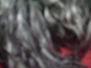 Descargar Poesía contemporanea para un mundo dificil pdf, epub, ebook