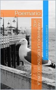 Descargar Caminando la existencia con la voz: Poemario pdf, epub, ebook