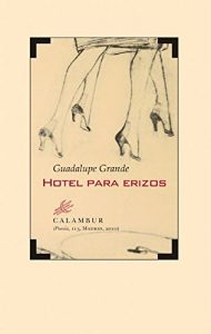 Descargar Hotel para erizos pdf, epub, ebook