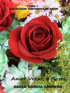 Descargar Amor Versos y Flores 1 (Tonterías de Amor) pdf, epub, ebook