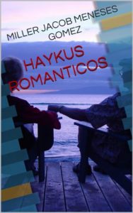 Descargar HAYKUS ROMANTICOS pdf, epub, ebook