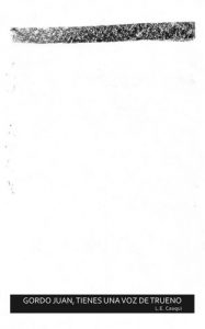 Descargar Gordo Juan, tienes una voz de trueno pdf, epub, ebook