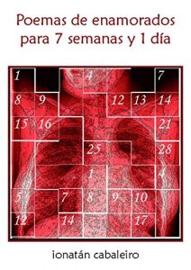Descargar POEMAS DE ENAMORADOS PARA 7 SEMANAS Y 1 DÍA: SONETOS Y ROMANCES pdf, epub, ebook