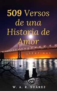 Descargar 509 Versos de una Historia de Amor: Poemas – Sextinas (1) pdf, epub, ebook