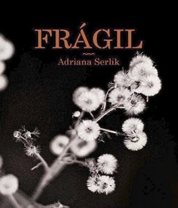Descargar Frágil pdf, epub, ebook