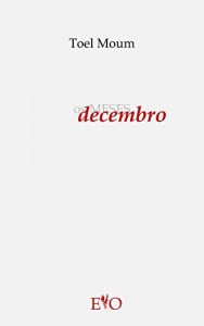 Descargar Os meses DECEMBRO (Galician Edition) pdf, epub, ebook