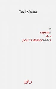 Descargar a espuma das pedras desbordadas (Galician Edition) pdf, epub, ebook