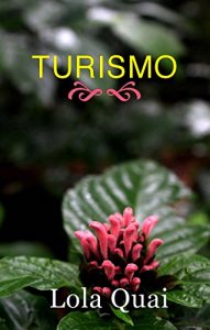 Descargar Turismo pdf, epub, ebook