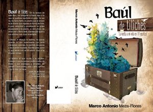 Descargar Baúl de tiliches: La vuelta a mi vida en 77 escritos pdf, epub, ebook