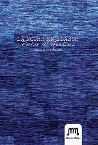 Descargar La noche en blanco pdf, epub, ebook