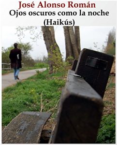 Descargar Ojos oscuros como la noche: Haikús pdf, epub, ebook