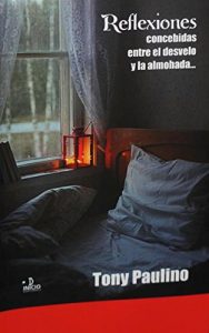 Descargar Reflexiones: Concebidas entre el desvelo y la almohada pdf, epub, ebook
