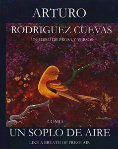 Descargar Como Un Soplo De Aire: Like A Breath of Fresh Air pdf, epub, ebook