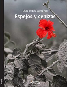 Descargar Espejos y cenizas pdf, epub, ebook