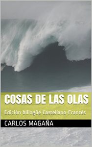 Descargar Cosas de las Olas: Edición bilingüe Castellano-Francés pdf, epub, ebook