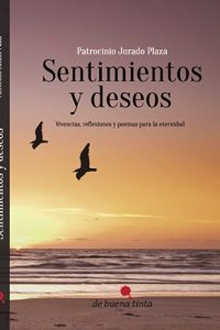 Descargar Sentimientos y deseos: Vivencias, reflexiones y poemas para la eternidad pdf, epub, ebook