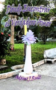 Descargar Dónde Encontrar el Verdadero Amor pdf, epub, ebook