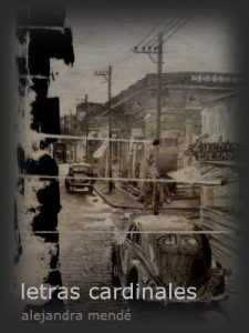 Descargar letras cardinales pdf, epub, ebook