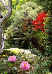 Descargar Una tarde en el jardín pdf, epub, ebook