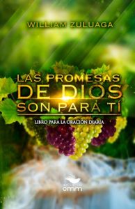 Descargar Las Promesas de Dios son para tí pdf, epub, ebook