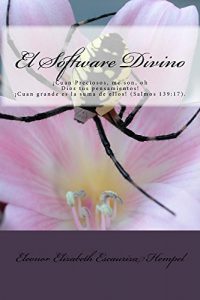 Descargar El Software Divino (1) pdf, epub, ebook