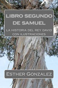 Descargar libro segundo de samuel pdf, epub, ebook