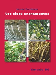 Descargar Los siete sacramentos pdf, epub, ebook