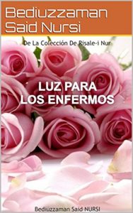 Descargar Luz Para Los Enfermos (La Colección Risale-i Nur en Español nº 14) pdf, epub, ebook