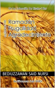 Descargar Ramadán Frugalidad Agradecimiento (La Colección Risale-i Nur en Español nº 15) pdf, epub, ebook