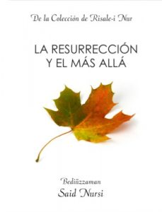 Descargar La resurrección y el más allá (La Colección Risale-i Nur en Español nº 5) pdf, epub, ebook