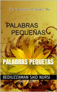 Descargar Palabras Pequetas (La Colección Risale-i Nur en Español nº 4) pdf, epub, ebook