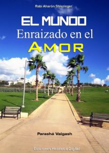 Descargar El Mundo Enraizado en el Amor: Parashá Vaigash (La Parashá en profundidad) pdf, epub, ebook