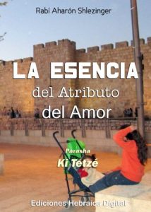 Descargar La Esencia del Atributo del Amor (La Parashá en profundidad) pdf, epub, ebook
