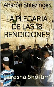 Descargar La Plegaria de las 18 Bendiciones: Parashá Shoftim (La Parashá en profundidad) pdf, epub, ebook