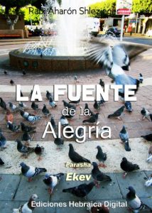 Descargar La Fuente de la Alegría (La Parashá en profundidad) pdf, epub, ebook