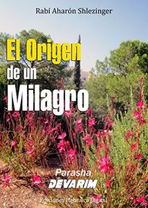 Descargar El Origen de un Milagro (La Parashá en profundidad) pdf, epub, ebook