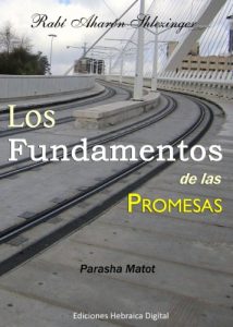 Descargar Los Fundamentos de las Promesas (La Parashá en profundidad) pdf, epub, ebook