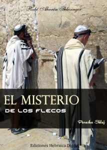 Descargar El Misterio de los Flecos (La Parashá en profundidad) pdf, epub, ebook