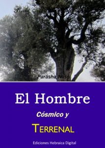Descargar El Hombre Cósmico y Terrenal (La Parashá en profundidad) pdf, epub, ebook