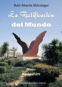 Descargar La Rectificación del Mundo (La Parashá en profundidad) pdf, epub, ebook