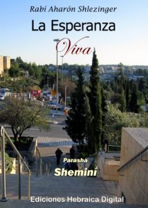 Descargar La Esperanza Viva (La Parashá en profundidad) pdf, epub, ebook