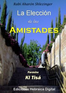 Descargar La Elección de las Amistades: Parashá Ki Tisá (La Parashá en profundidad) pdf, epub, ebook